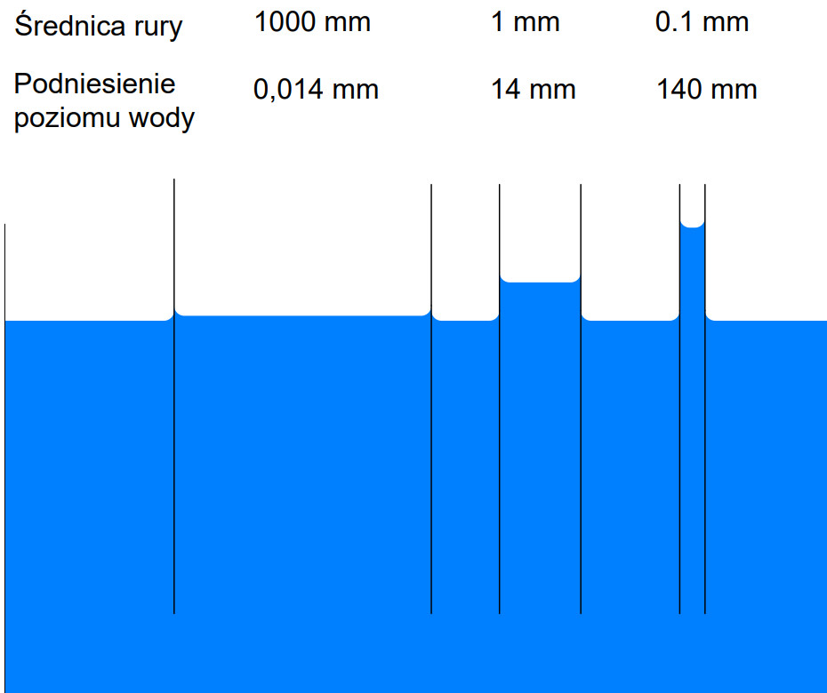 kapilarne podciąganie wody