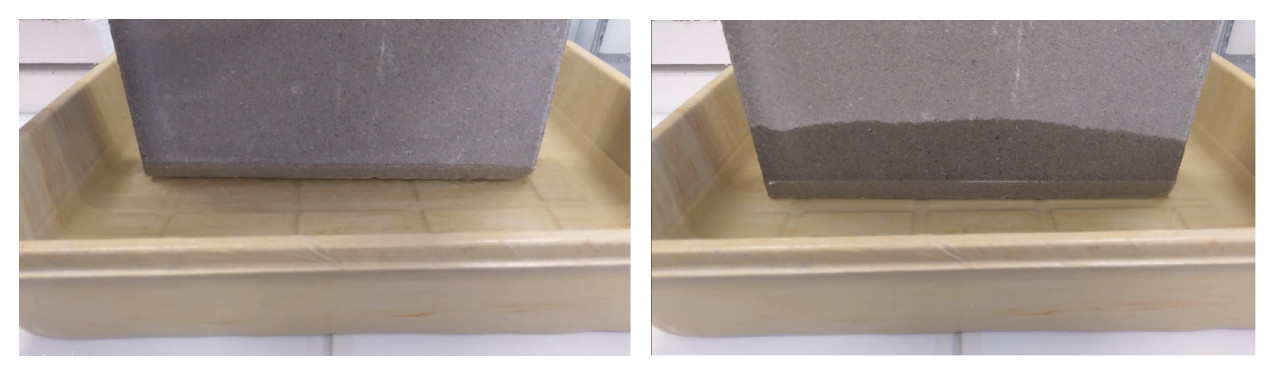 kapilarne podciąganie wody