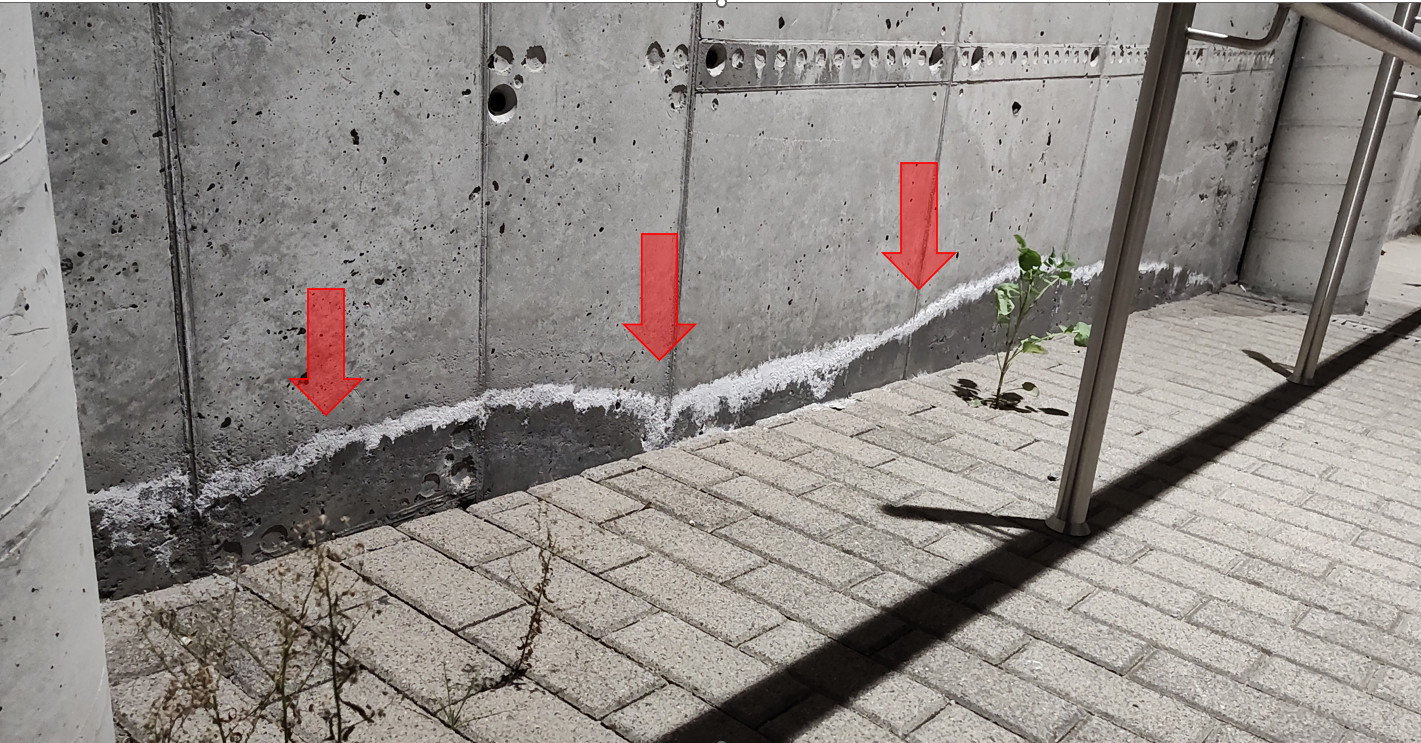 kapilarne podciąganie wody