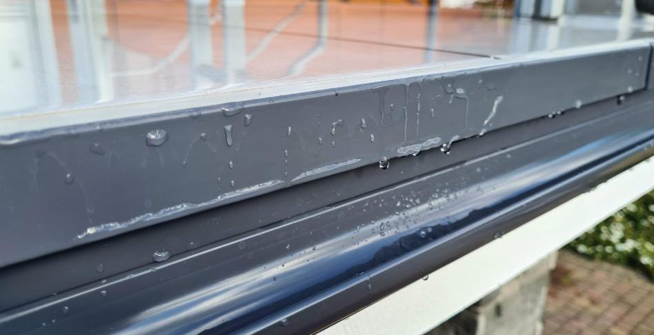 Okapnik tarasowy zdj8